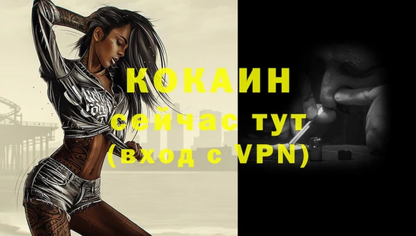 ПСИЛОЦИБИНОВЫЕ ГРИБЫ Белокуриха