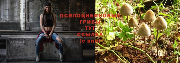 спайс Беломорск