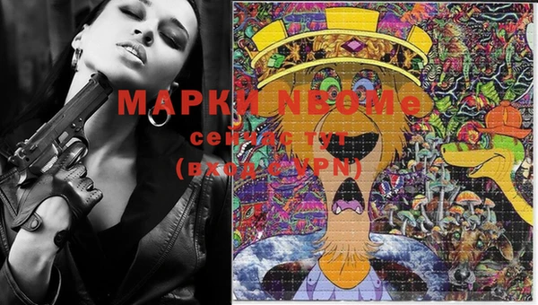 ПСИЛОЦИБИНОВЫЕ ГРИБЫ Белокуриха