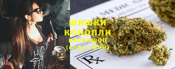 ПСИЛОЦИБИНОВЫЕ ГРИБЫ Белокуриха
