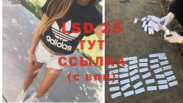 ПСИЛОЦИБИНОВЫЕ ГРИБЫ Белокуриха