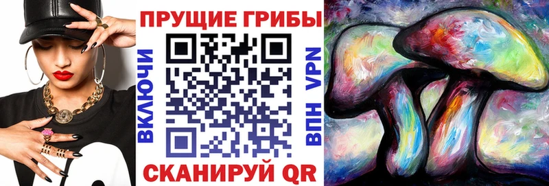 Псилоцибиновые грибы GOLDEN TEACHER Кувандык